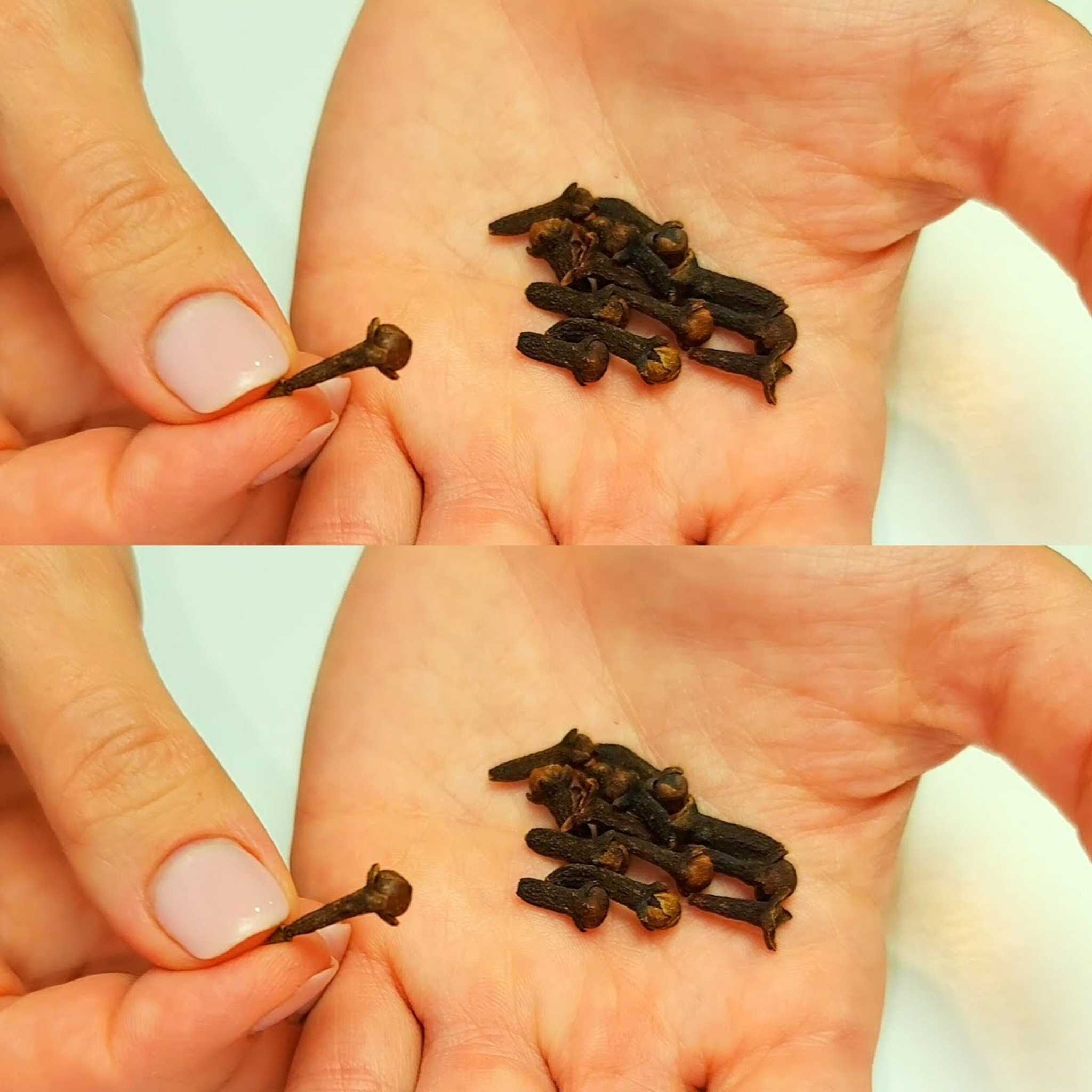 Clear Your Lungs❗ Stop Coughing in Three Days! Recipe for Bronchitis with Cloves