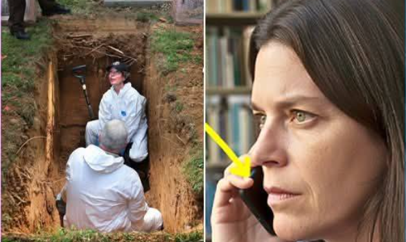 Buried Secrets Unearthed: What Was Really Found in the Garden at Savannah Guthrie’s Sister’s Home.