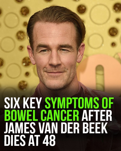 Six symptoms of bowel cancer after James Van Der Beek dies aged 48! – Story Of The Day!