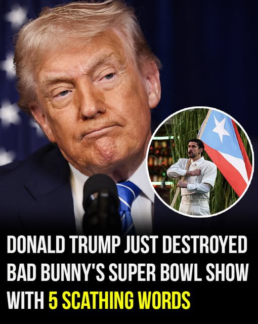 Trump destroys Bad Bunnys halftime Super Bowl performance with 5 ruthless words! – Story Of The Day!