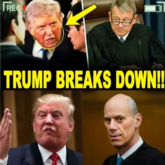 🚨 LEGAL REALITY: The documented court findings Trump can’t overturn. – story-veterans.com