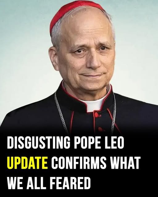 “Woke” Pope Leo XIV slammed by MAGA supporters – story-veterans.com