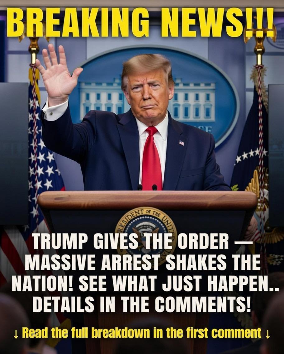 Law Enforcement Confirms Arrest After Months-Long Investigation – story-veterans.com