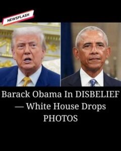 WH Sends Termination Letters To Many Biden-Appointed US AttorneyS – story-veterans.com