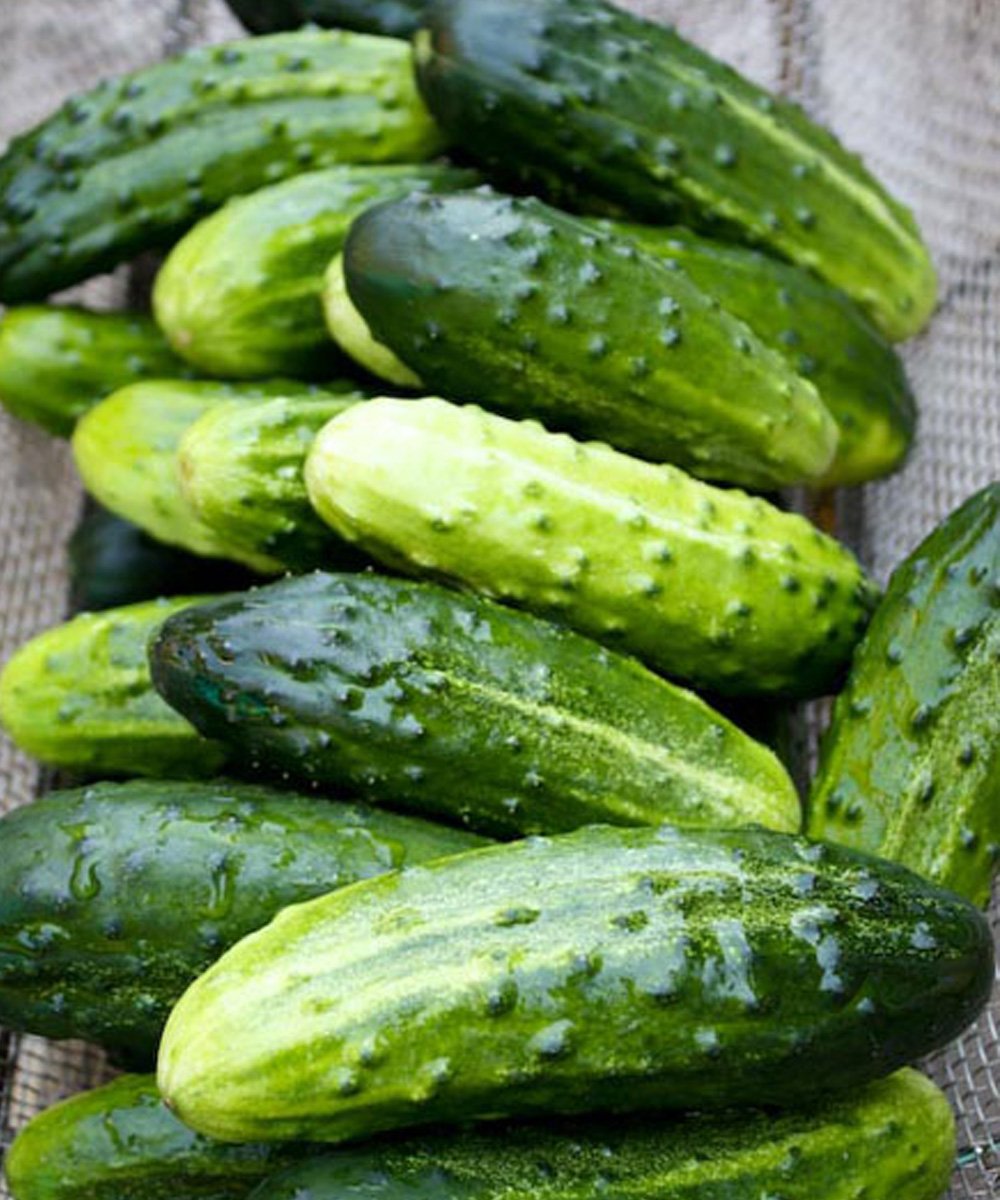 Doctors reveal that eating cucumber in salads causes… – story-veterans.com