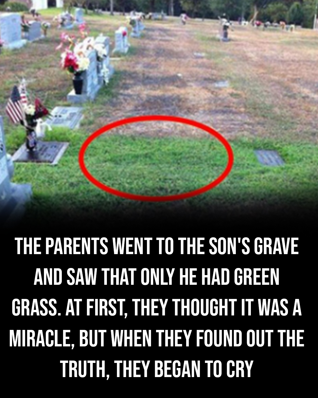 Parents of fallen soldier confused when they see green grass on son’s grave, then they spot an elderly man with a hose – QuickStory