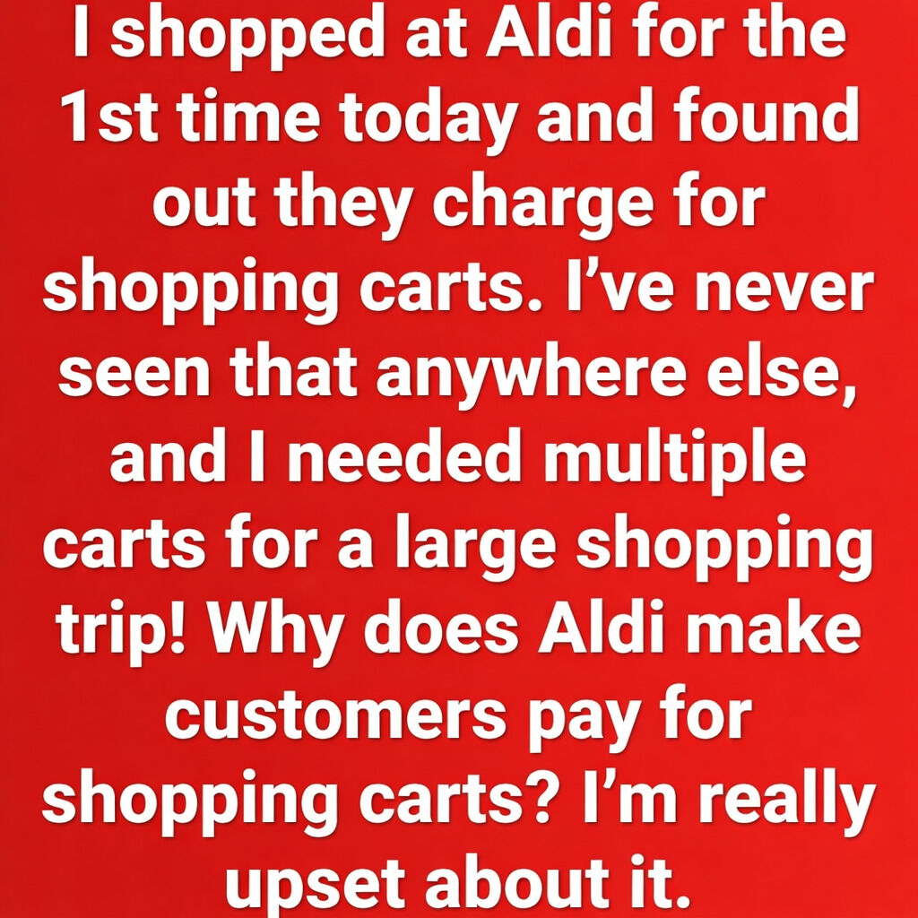 The Hidden Reason Aldi Makes You Insert a Coin Before Shopping Will Change How You See Every Cart – QuickStory