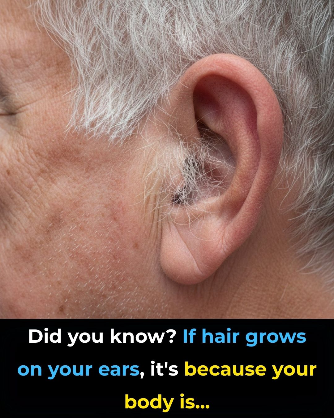 HT15. DID YOU KNOW? If hair grows on your ears, it’s because your body is… – NewsMedia