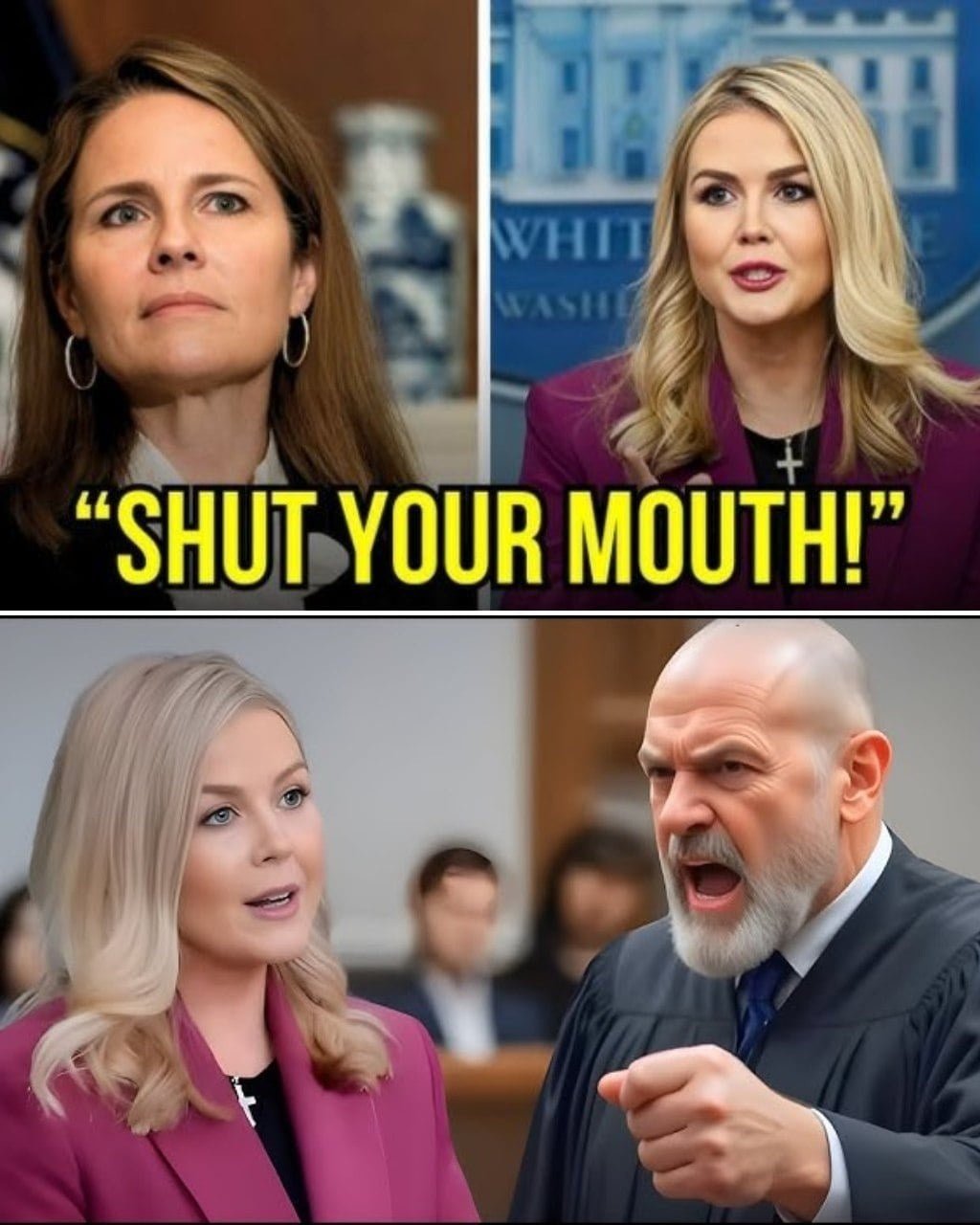 Judge Fined Leavitt 0K for Insulting Biden, 7 Minutes Later, Bondi Cuffed Him – VIDEO –